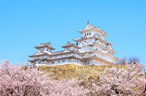 Castillo de Himeji con sus múltiples torres blancas sobre la colina con cerezos en flor