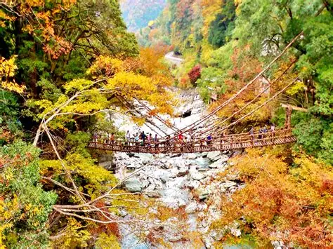Puente colgante de lianas sobre el valle de Iya en Shikoku